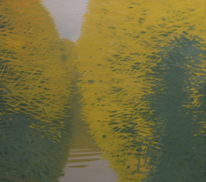 Painting, Landscape - Willows. Evening.
